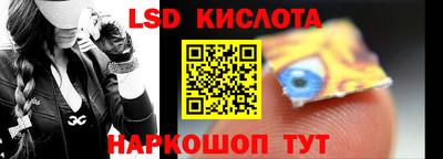 шишки Лесосибирск