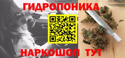шишки Лесосибирск