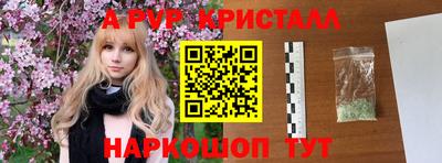 шишки Лесосибирск