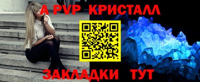 шишки Лесосибирск
