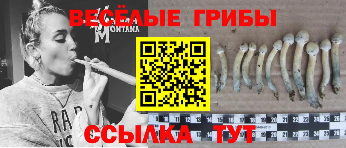 Галлюциногенные грибы прущие грибы  Вход с VPN  Дивногорск  Галлюциногенные грибы MAGIC MUSHROOMS 