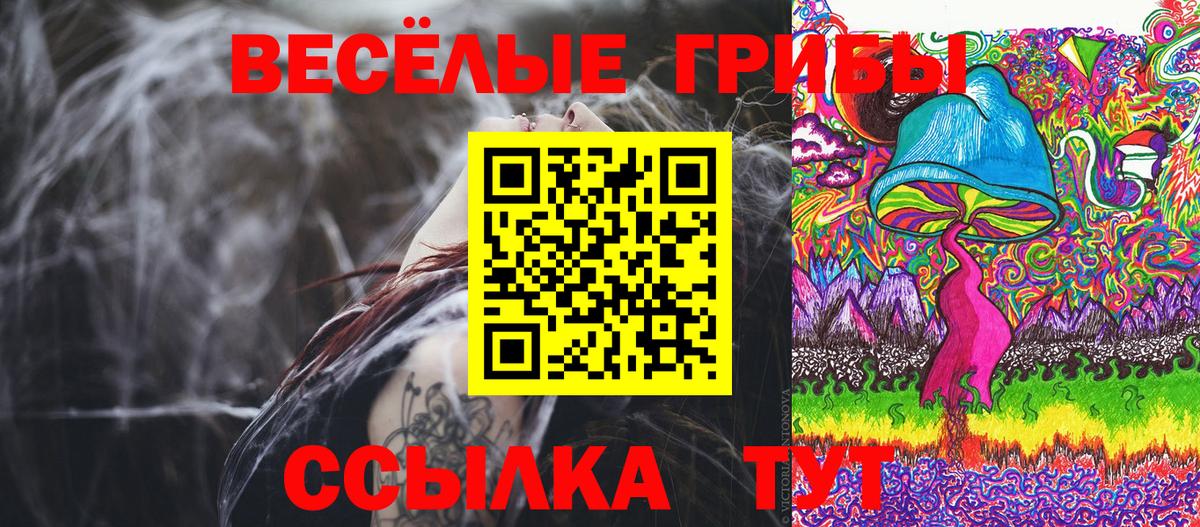 Галлюциногенные грибы MAGIC MUSHROOMS Дивногорск